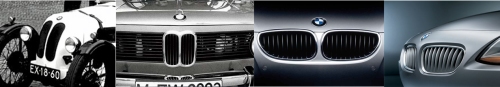 BMW grille evolution copy